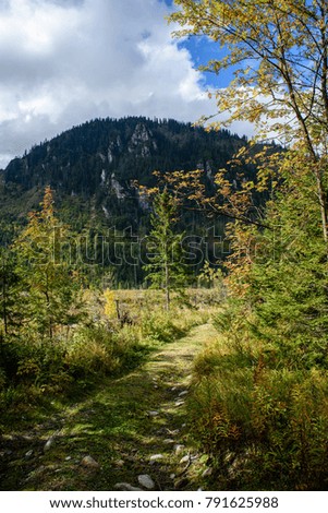 slovakian carpathian mountains in autumn with green forests. nice day for hiking