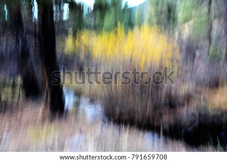 Abstract image of trees, willows, and stream in Pine Valley, UT.  Image is created by using slow shutter speed and vertical camera movement during exposure.  Image is a "Impression of Nature."