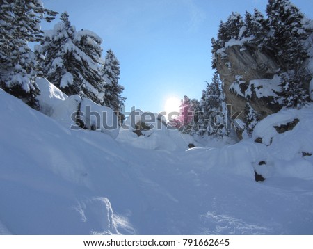 Winter beauty wallpaper with snow covered pine trees and stones in a hidden valley on the French alps               