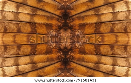 Abstract symmetric pattern of feathers owls close-up as background. The image with mirror effect. The texture of the wing feathers of the owl. Macro of the brown and yellow feathers of a owl. 