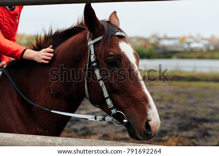 beautiful girl rides a horse in a village in the fall
