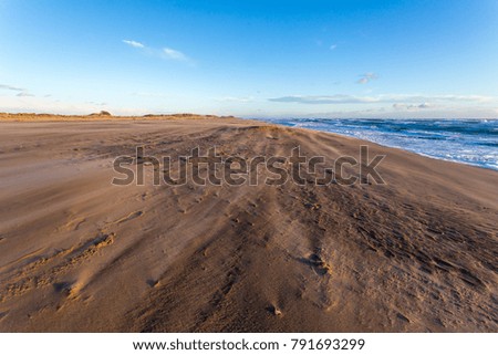 an immense wild Mediterranean beach with traces of the wind
