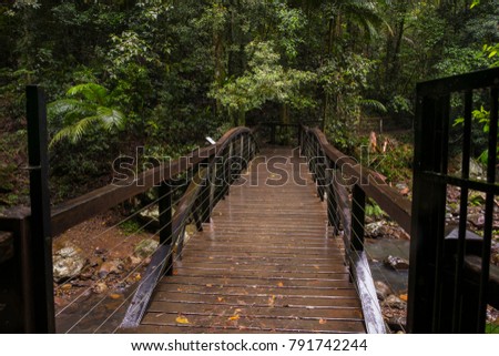 Lower section bridge crossing on the Natural Arch (Natural Bridge) trail in Springbrook on Australia's Gold Coast Hinterland. 