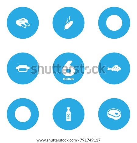 Set Of 6 Barbecue Icons Set.Collection Of Grilled, Drumstick, Barbecue And Other Elements.