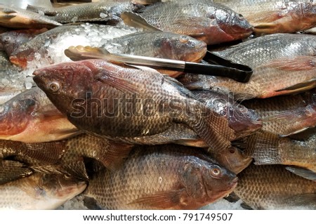 fish in the market