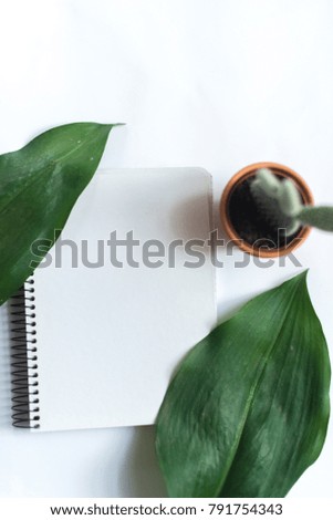 Notepad on white background with leaves of tropical plants