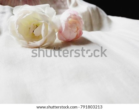 blurry white rose on the bed, it is symbolic the love,need blur  all picture