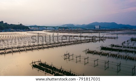 Aerial view of Coastal Shrimp Farms in South Korea.