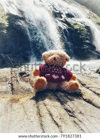 Bear wearing Knitting  at the waterfall