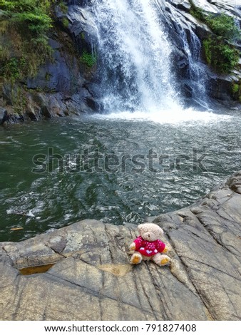 Bear wearing Knitting  at the waterfall