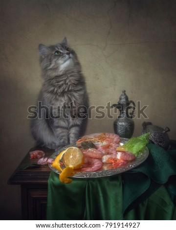 Still life with boiled shrimps on a tray and curious cat