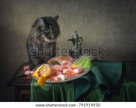 Still life with boiled shrimps on a tray and curious cat