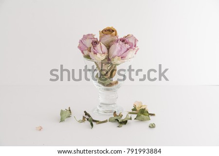 Dry flowers roses on white background ready to print. White and light colours delicate with negative space for overlay, quote, work. Blogger and website designers tool for marketing and promotion.