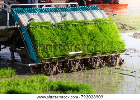 Rice planting machine for  planting rice in field in beautiful morning light Royalty-Free Stock Photo #792028909