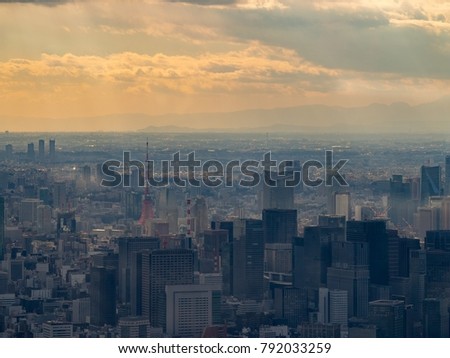 Tokyo metropolis. The capital city of Japan and the most populous metropolitan area in the world - With Tokyo tower the iconic landmark of Japan.