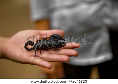 The black scorpion on the man hand.