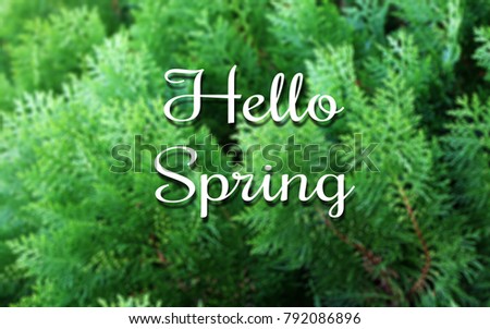 Hello Spring concepts welcome Spring