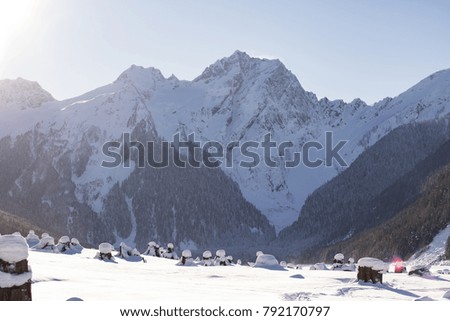 A landscape view looking past a snowy logged forest making a clear view for a beautiful frozen mountain backdrop reaching far into the sky
