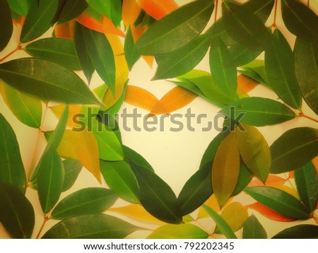 Free space,heart space for writing text or message in the middle of many green leaves background.natural love with heart.