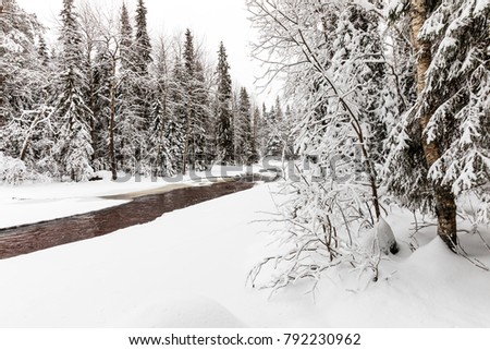 snow-covered forest and Raudanjoki, a river in Rovaniemi, Finland.