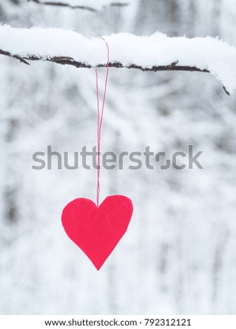 Red heart on a snowy tree branch.