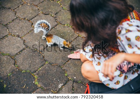 Woman with dress gets approached by a cute squirrel