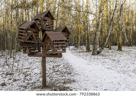 A large wooden bird feeder in a winter park. Frost and trees without foliage. Interesting photo for the site about animals and ecology.