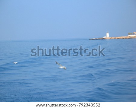 Photo from flying sea gull in deep blue sky