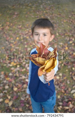 Little boy holding Autumn leaves