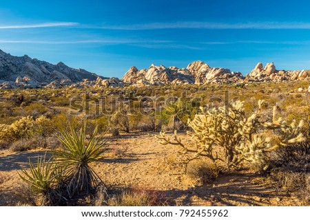 The Mojave Desert Royalty-Free Stock Photo #792455962