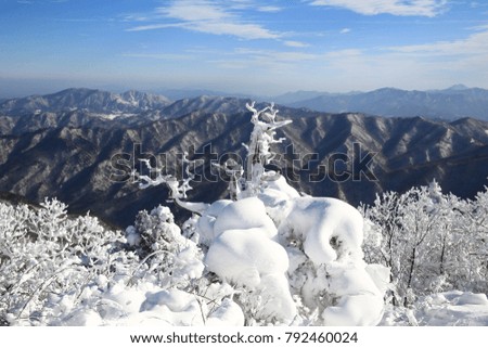 Snow-covered trees and beautiful mountains