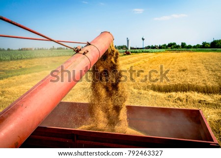 View from a combine harvester on an operation of unloading wheat grain into a red trailer with wheat field, silo and a man on a tractor far in the background