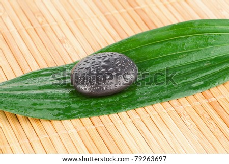 Close up of a black stone on a leaf