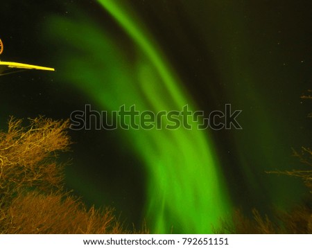 Aurora Borealis, Northern Lights dancing over Icelands sky 