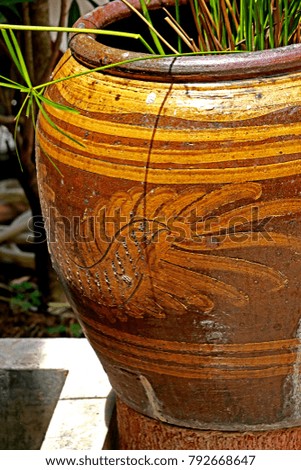 Green plant on the old jar