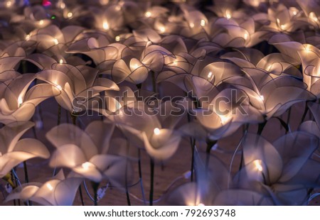 Abstract Pic , Beautiful flower light 