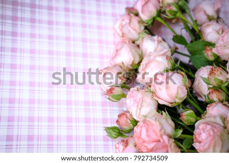 Pink roses on the paper in the cage.copy space.the special focus.