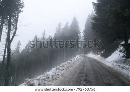 Nature covered in snow during deep winter. Slovakia	
