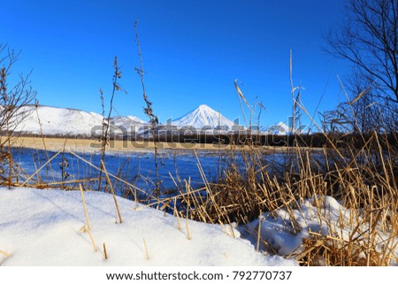 dry grass in snowbank against volcano background