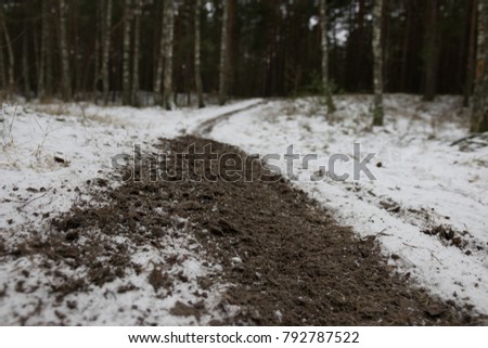 Tire tracks on winter road in lonely endless forest. Mysterious forest in the dark morning