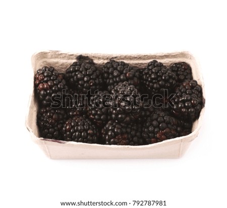 Cardboard box of blackberries isolated over the white background