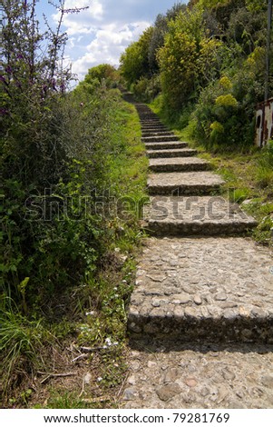 Stone pathway towards countryside in Greece