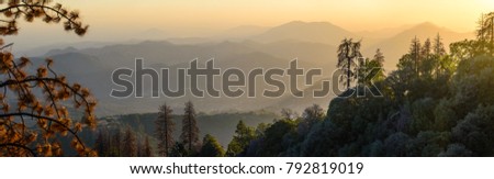 Sunset over California Forest Royalty-Free Stock Photo #792819019