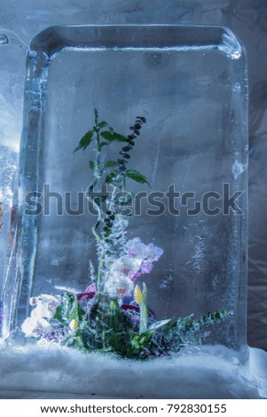 Ice sculpture of flowers in a frozen block of ice