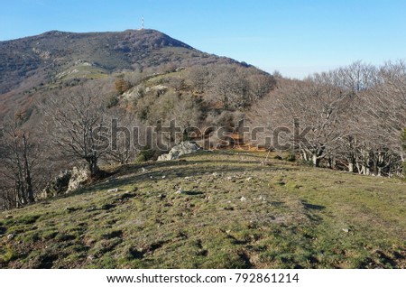 Mountain landscape near the peak Neulos in the Albera Massif between France and Spain, Pyrenees Orientales, Catalonia