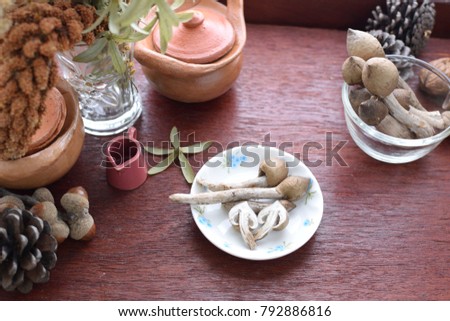 Termite Mushroom (  Termitomyces fuliginosus Heim ) in white dish and on a wooden table.