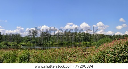 Panoramic photo of fishpond in forest