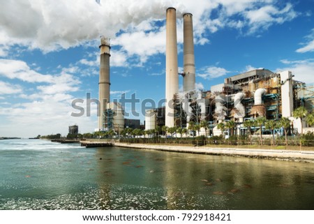 A large coal-fired power plant in Tampa and dozens of manatees basking in warm waters