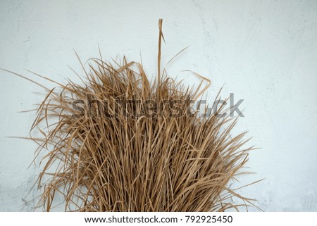 Dry grass on grey background wall. Concept of autumn harvesting