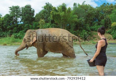 This picture is showing a woman who is giving a bath to an Asian female elephant. It has been taken in Luang Prabang, Laos.